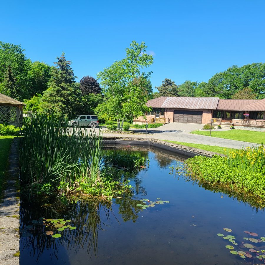 Image of the Lodge